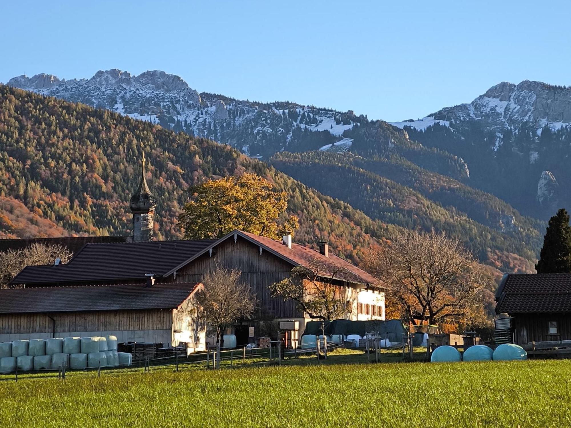 Bauernhof Geigerhof Villa Aschau im Chiemgau Dış mekan fotoğraf